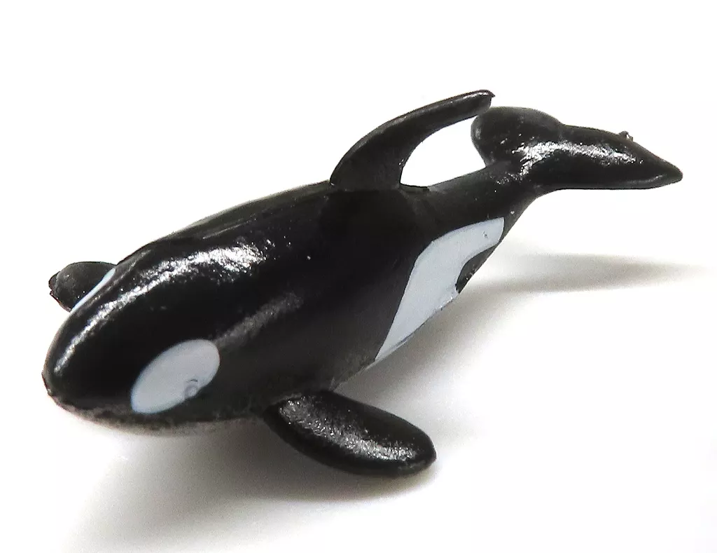 Trading Figure - Mini Figure - Marine Life Collection Mini figure Collection