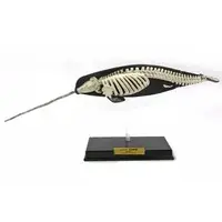 Trading Figure - 3D Capsule Encyclopedia