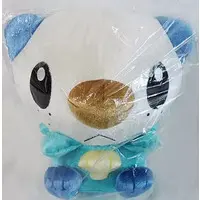 Plush - Pokémon / Snivy & Oshawott