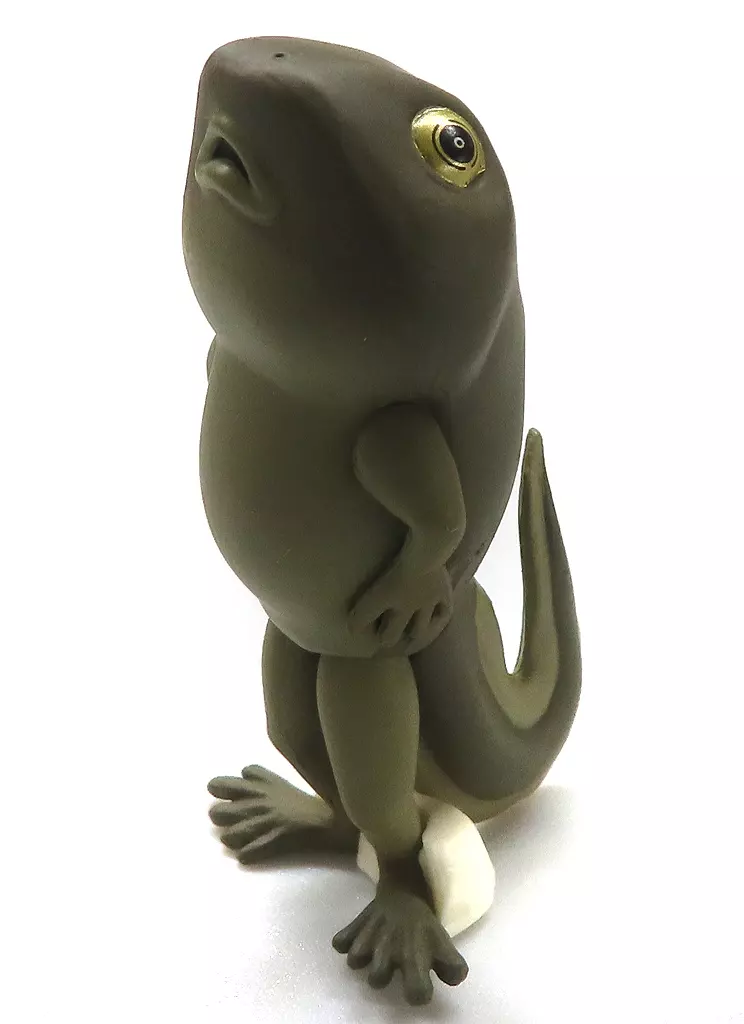 Narabetai - Seiretsu Tree frog