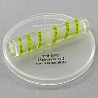 Trading Figure - Mysterious Biological Encyclopedia