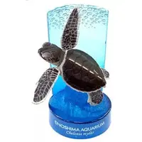 Trading Figure - Enoshima Aquarium