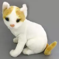 Plush - Cat