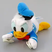 Plush - Disney / Donald Duck