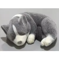 Trading Figure - Mofumofu Corgi