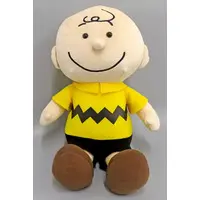 Plush - PEANUTS / Charlie Brown