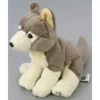 Plush - Real Animal Family