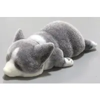 Trading Figure - Mofumofu Corgi