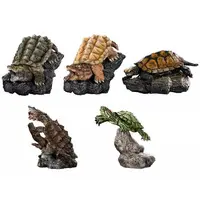 Trading Figure - Ikimono Daizukan