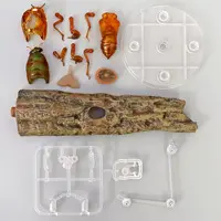 Trading Figure - Ikimono Daizukan