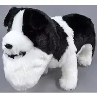 Plush - SHAKUREL PLANET