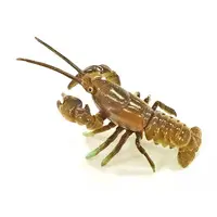 Trading Figure - Kaiyodo CapsuleQ Museum