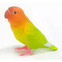 Trading Figure - Parakeet