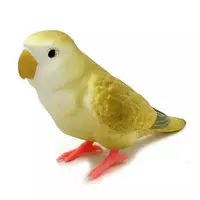 Trading Figure - Parakeet