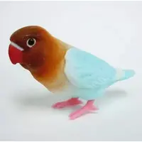 Trading Figure - Parakeet