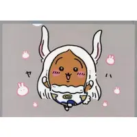 Stationery - Plastic Folder (Clear File) - Chiikawa / Usagi & Rakko