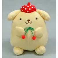 Plush - Sanrio / Pom Pom Purin