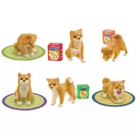 Trading Figure - Shiba Inu Capsule Collection