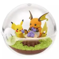 Terrarium Collection - Pokémon / Raichu