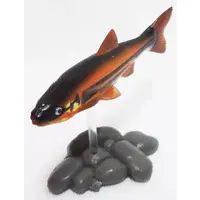 Trading Figure - Freshwater Fishes