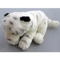 Plush - White tiger