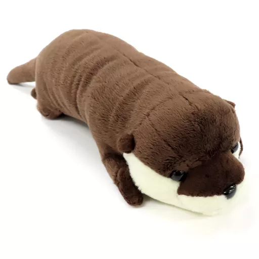 USED) Plush - Otter (ユーラシアカワウソ ぬいぐるみ(M) アクアマリン