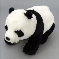 Plush - Panda