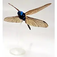 Trading Figure - Primary Color Japanese Insect Encyclopedia