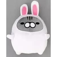 Plush - Boneless Dog & Cat