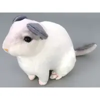 Plush - Real Animals