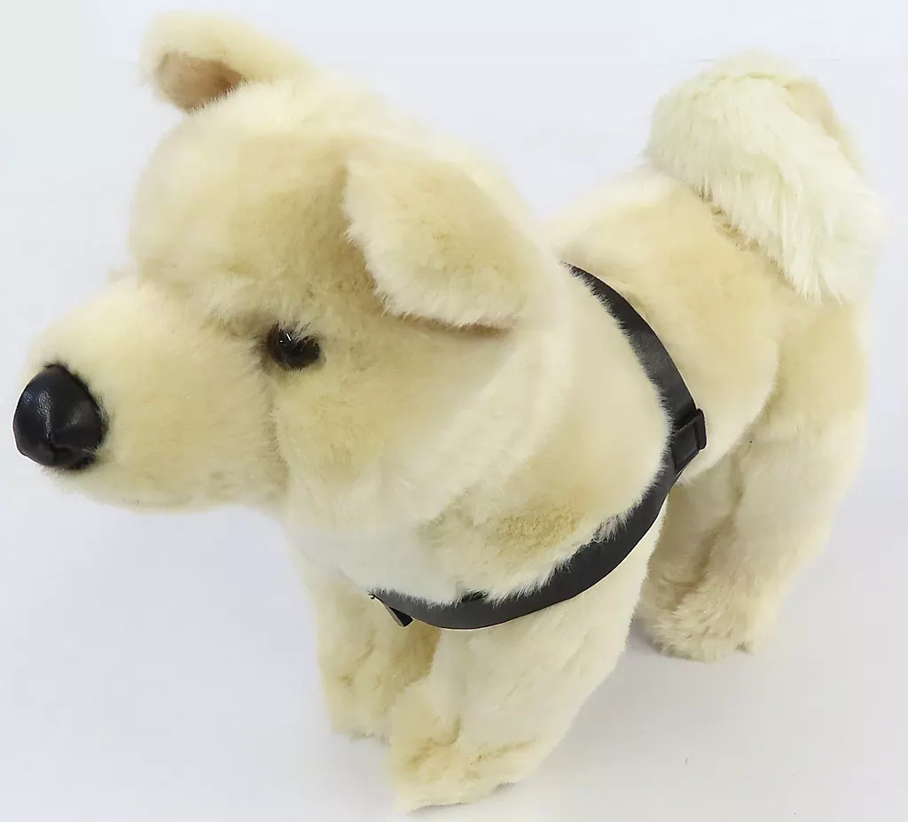 Plush - National Museum of Nature and Science,Tokyo