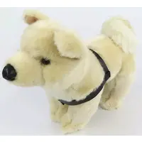 Plush - National Museum of Nature and Science,Tokyo