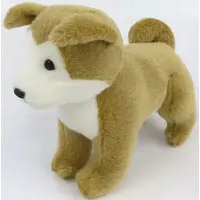 Plush - Dog