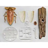 Trading Figure - Ikimono Daizukan