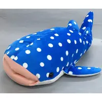Plush - Whale shark