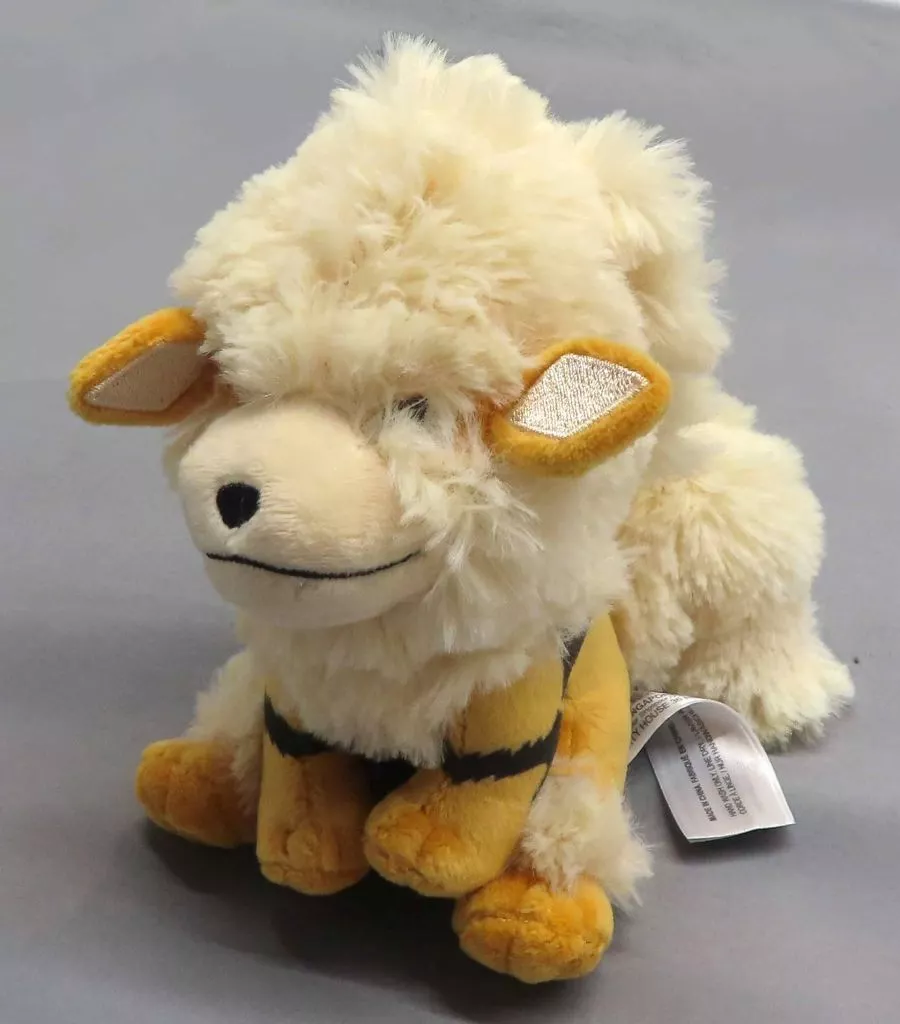 Pokemon fit - Pokémon / Arcanine