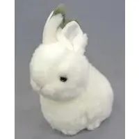 Plush - Riku no Nakamatachi