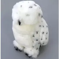 Plush - Owl