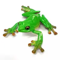 Trading Figure - Natural monument