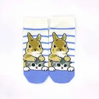 mofusand Front Socks (Rabbit)