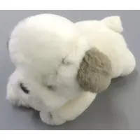 Plush - Dog