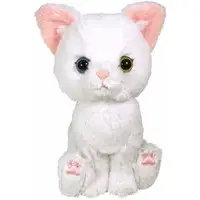 Plush - kitten