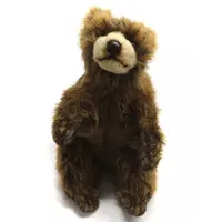 Plush - Bear