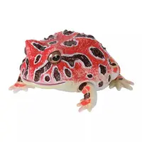 Trading Figure - Illustrated encyclopedia of creatures Repti