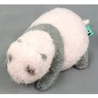 Plush - Panda