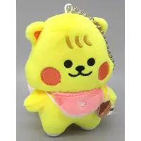 Key Chain - NIZOO