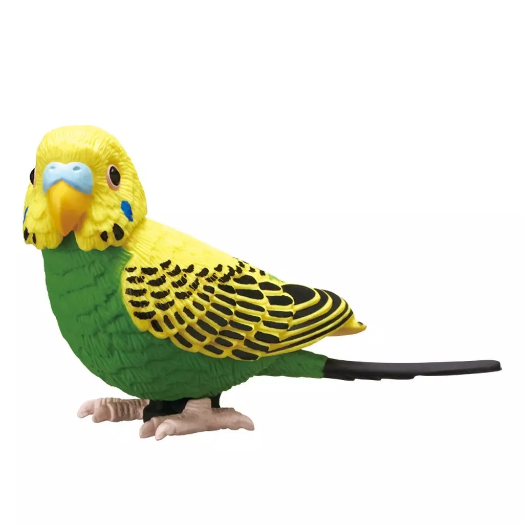 Trading Figure - Parakeet Action & Magnet