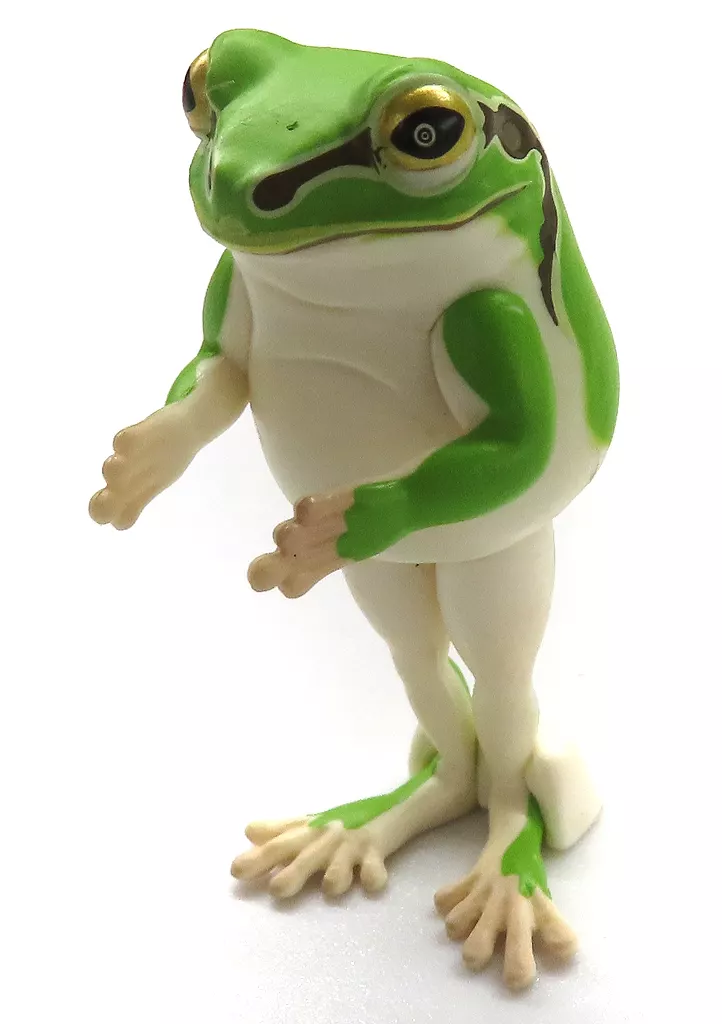 Narabetai - Seiretsu Tree frog