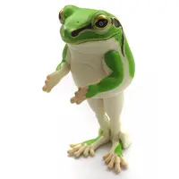 Narabetai - Seiretsu Tree frog