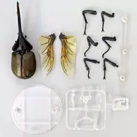 Trading Figure - Ikimono Daizukan